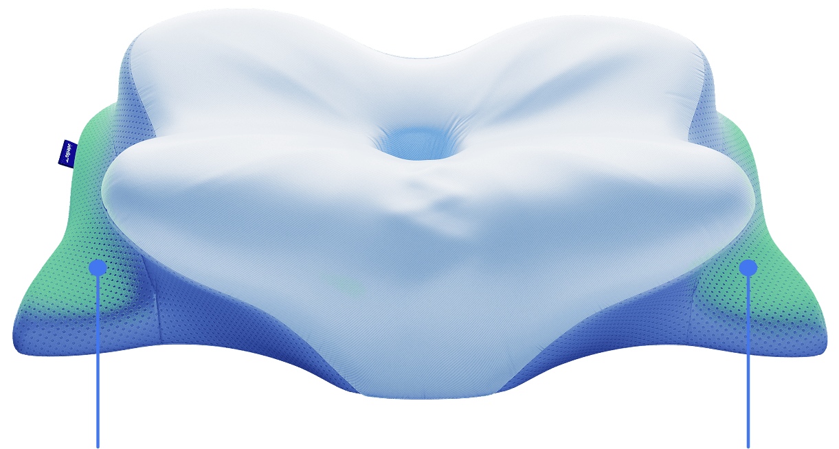Derila Ergo Pillow buy
